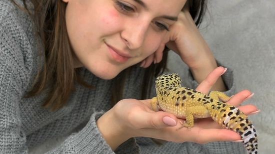 can we keep leopard gecko with kids?