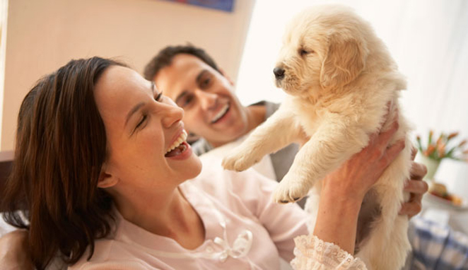 Things To Remember For New Canine Parents